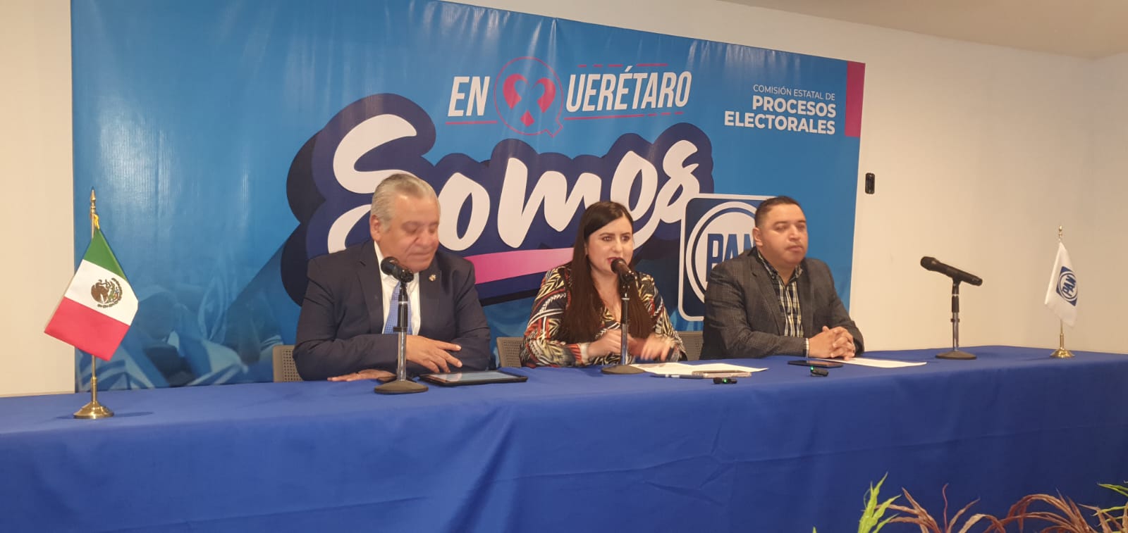 Acción Nacional Impugnó la Candidatura de Santiago Nieto Castillo: Alfredo Botello, Senador de la República.