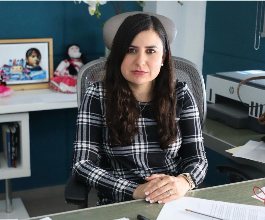 Morena hace apología de bloqueos y disturbios que afectan a miles de queretanos: PAN