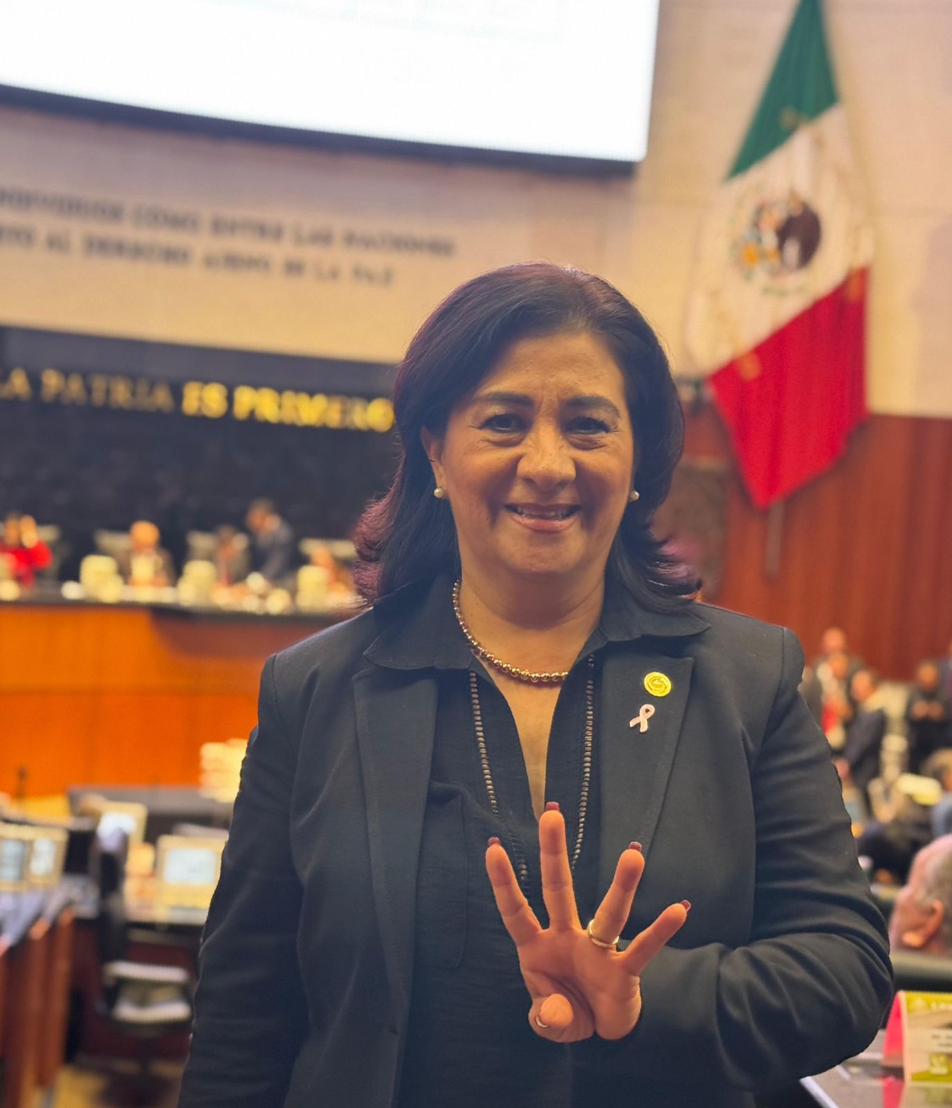 En desarrollo: Proceso histórico de insaculación para la renovación del Poder Judicial en el Senado de la República 