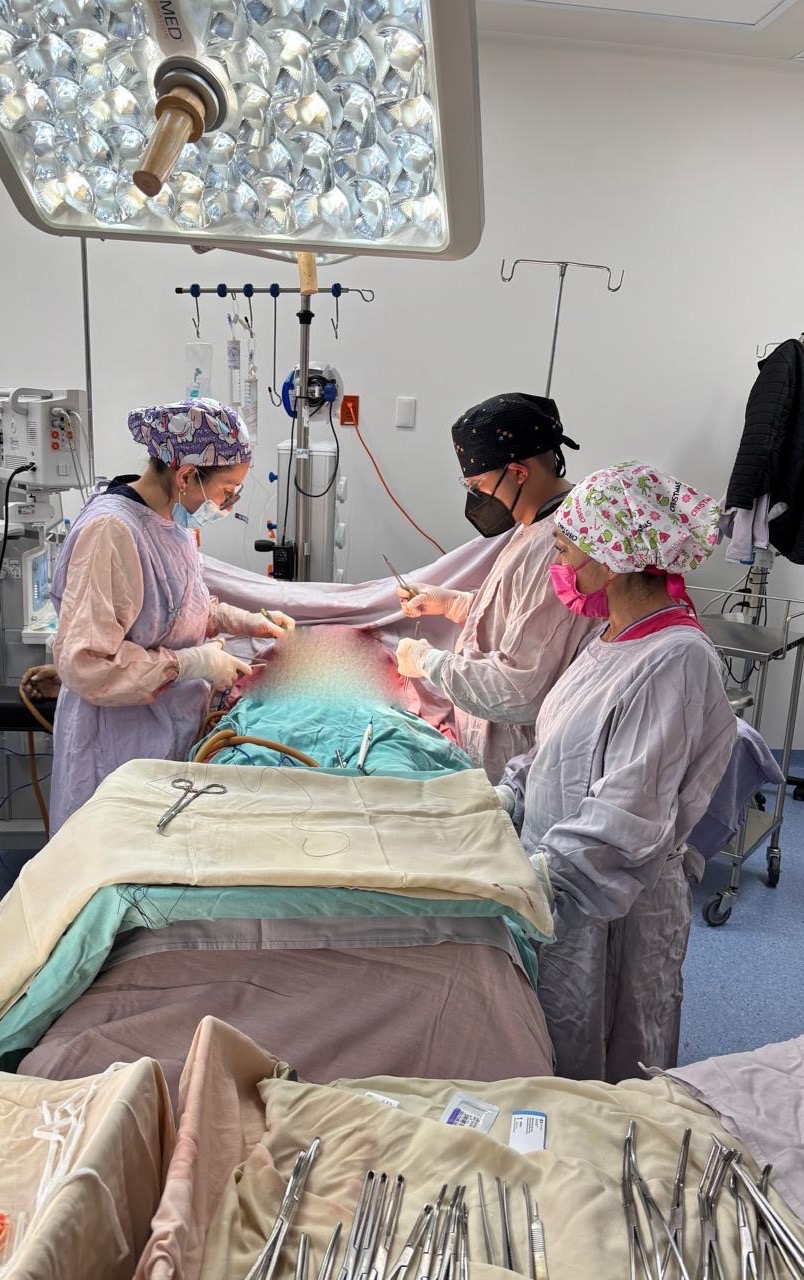 Concreta Hospital General de Querétaro octava donación multiorgánica